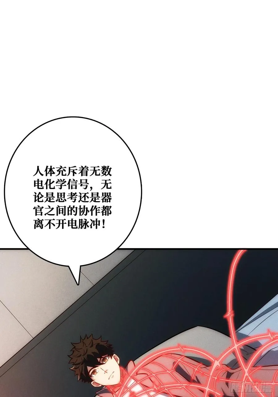 生物电器46