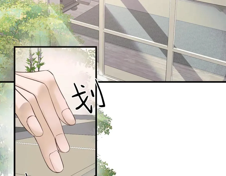 22-蛛茧引线1