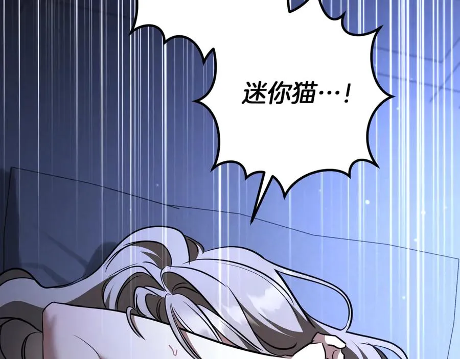 第33话 迷你猫的拜托117