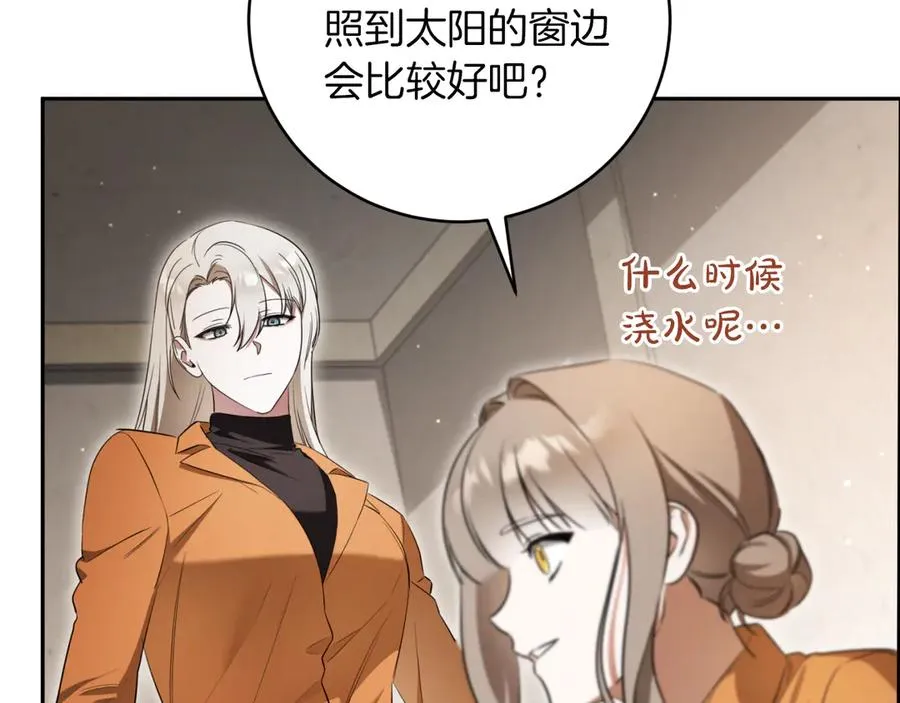 第14话 天才的堕落245