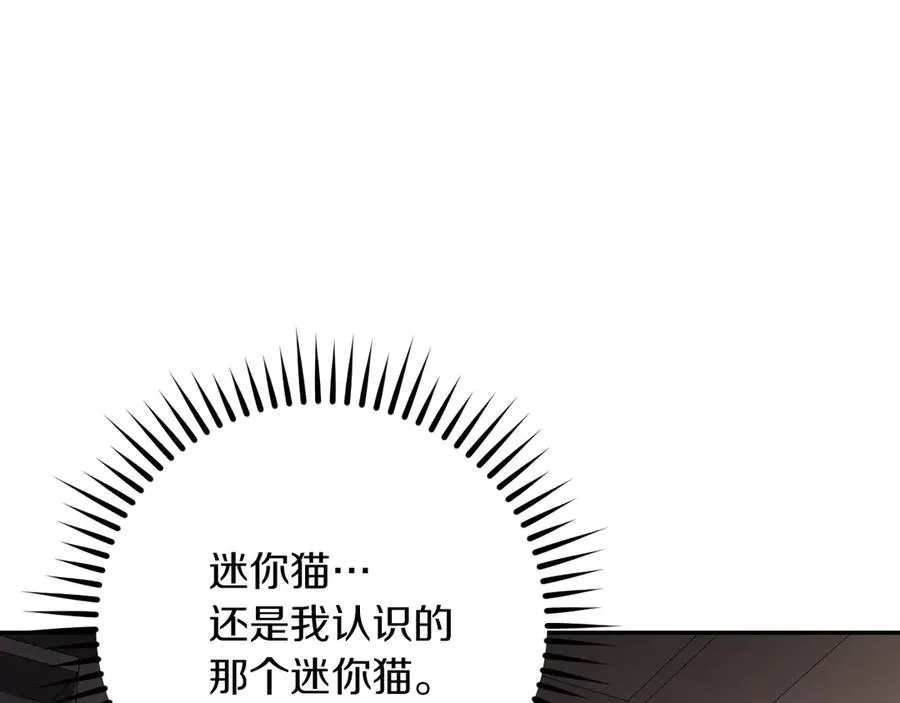 第20话 晚安，卷心菜55