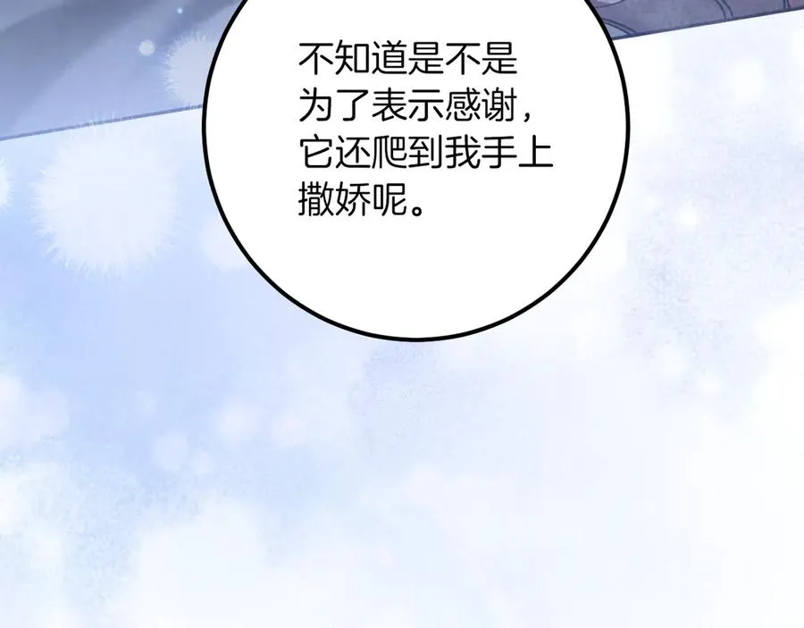 第28话 为什么要杀死自己的宠物117