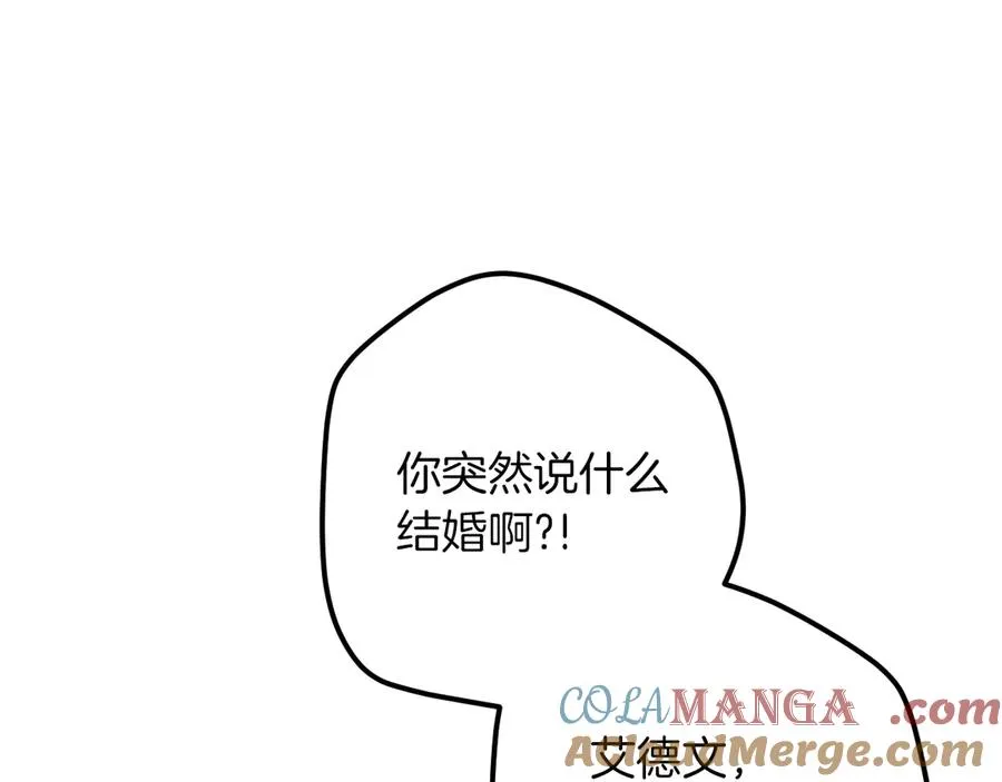 第30话 和我结婚吧108