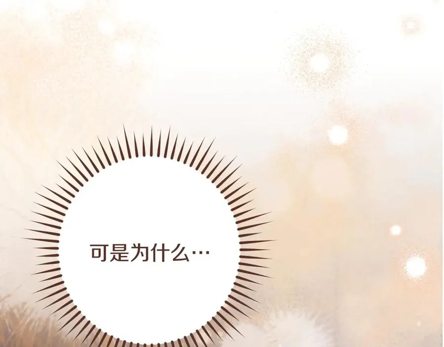 第33话 迷你猫的拜托254