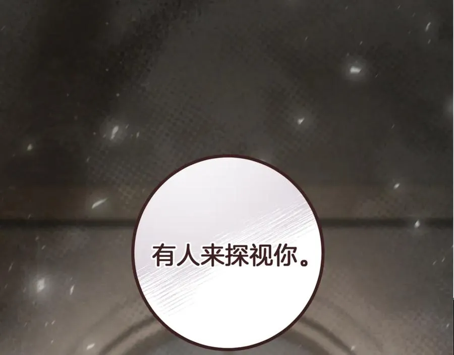 第28话 为什么要杀死自己的宠物310
