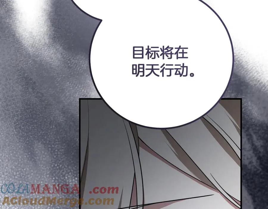 第17话 时间不多了264