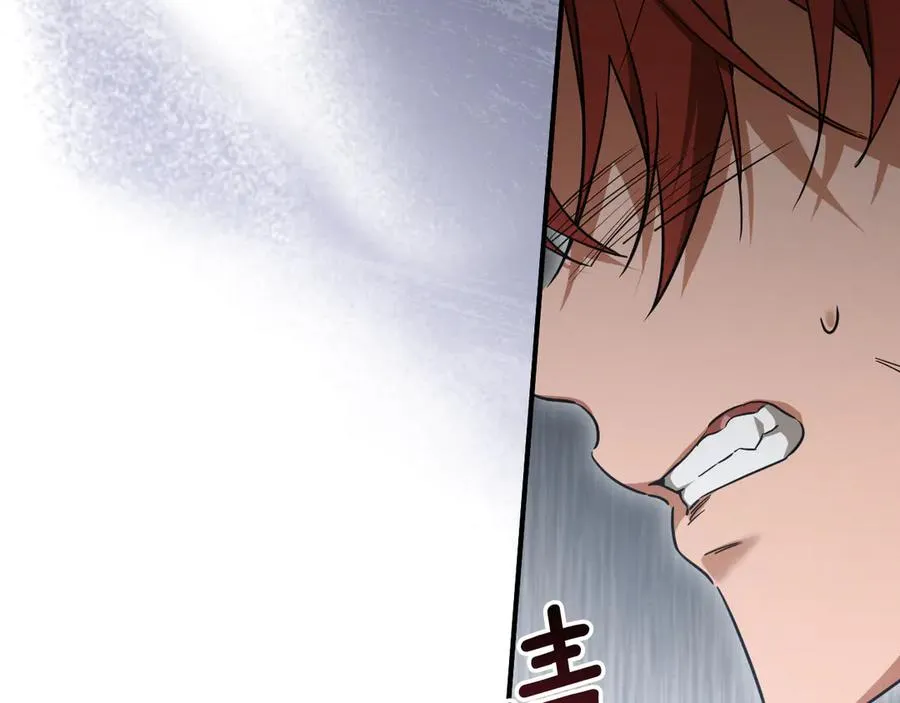 第17话 时间不多了207
