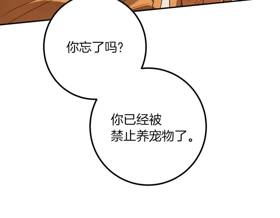 第26话 养宠物65