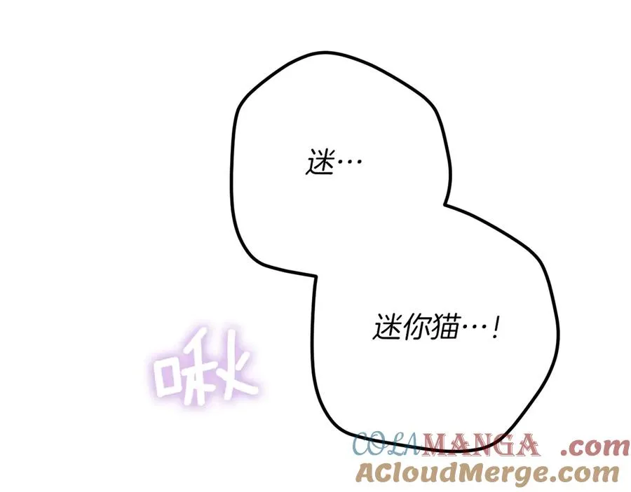 第33话 迷你猫的拜托36