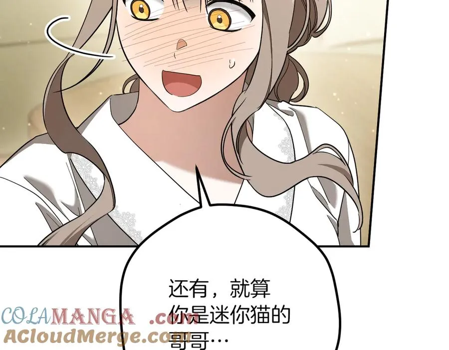 第41话 突然好奇的问题16