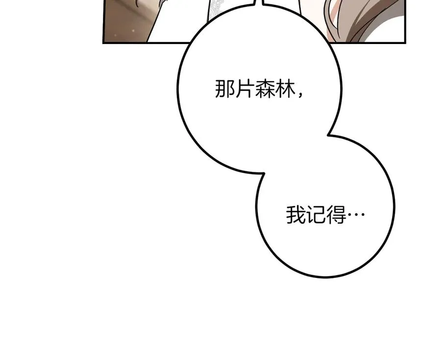 第41话 突然好奇的问题167