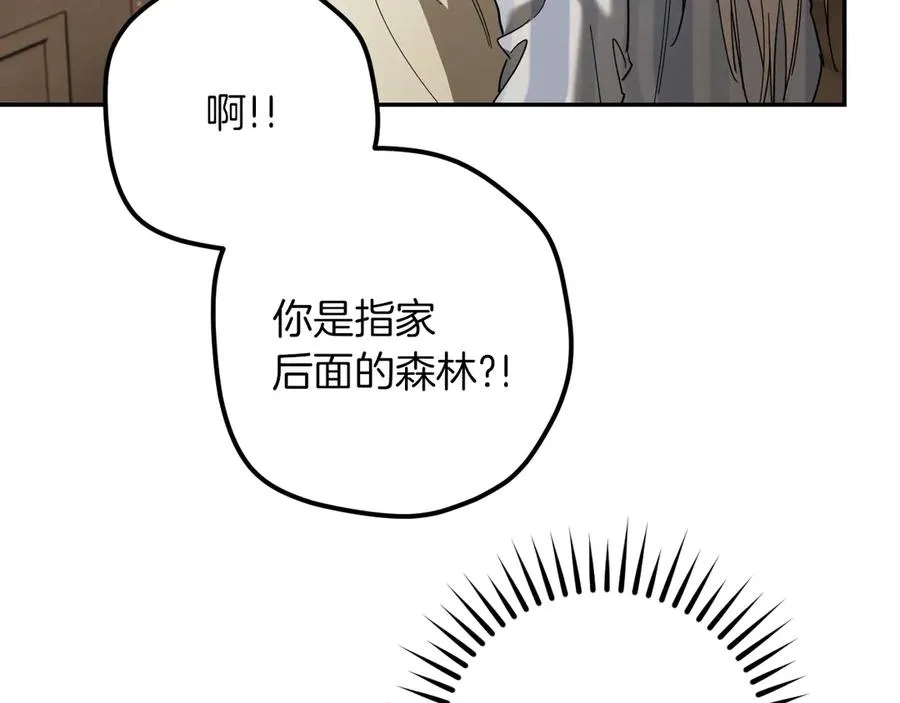 第41话 突然好奇的问题162