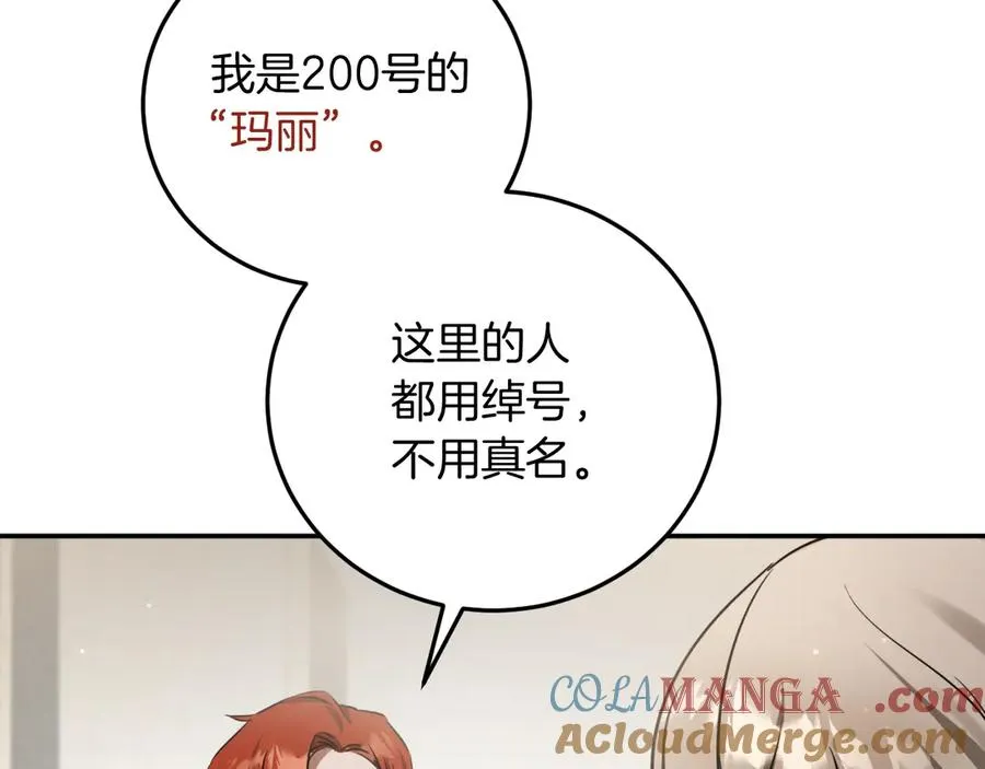 第3话 请多关照，小美女108