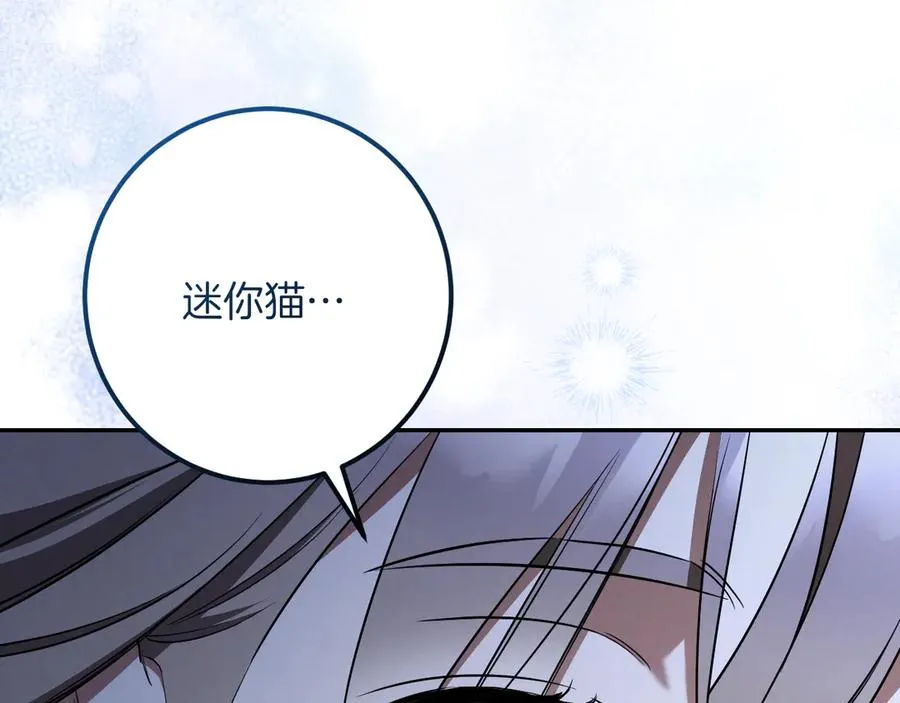 第33话 迷你猫的拜托189