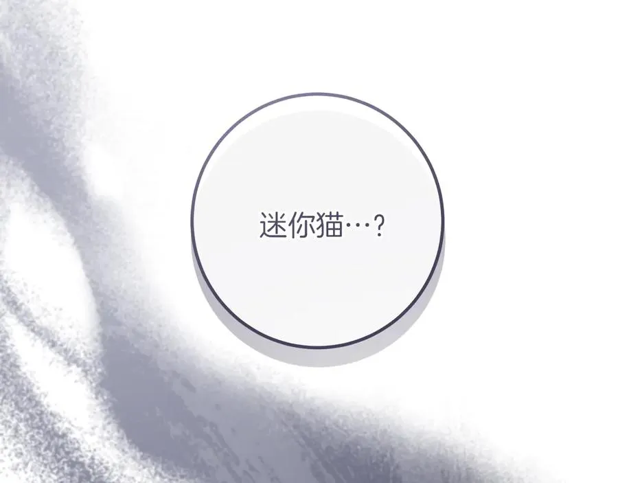 第28话 为什么要杀死自己的宠物1