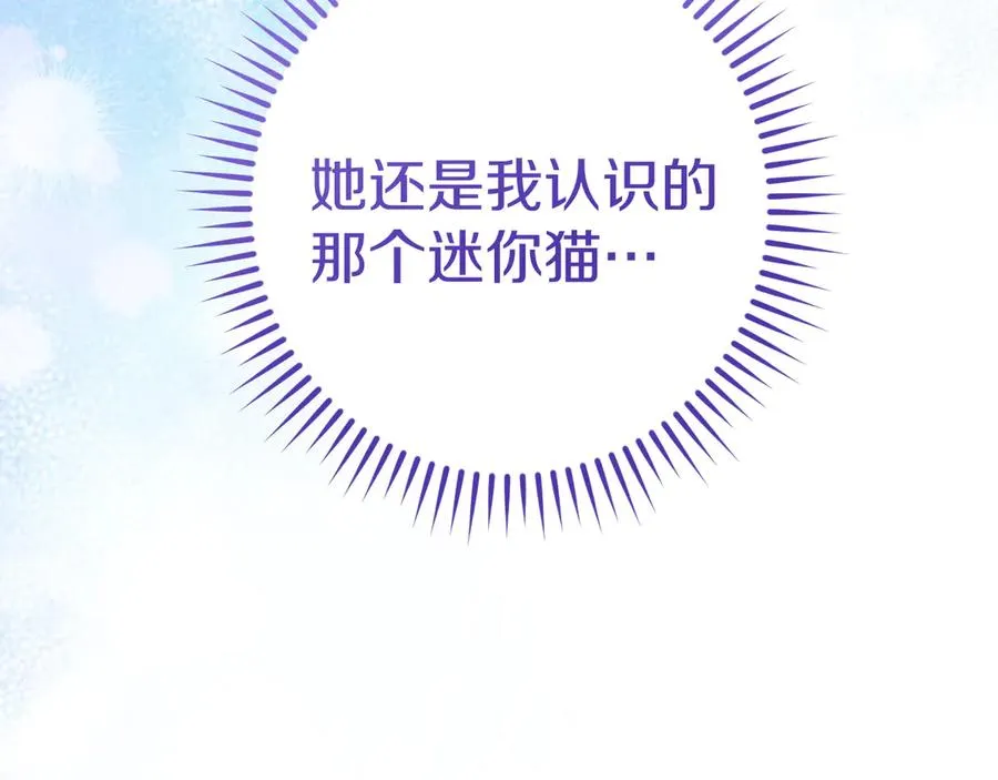 第33话 迷你猫的拜托162