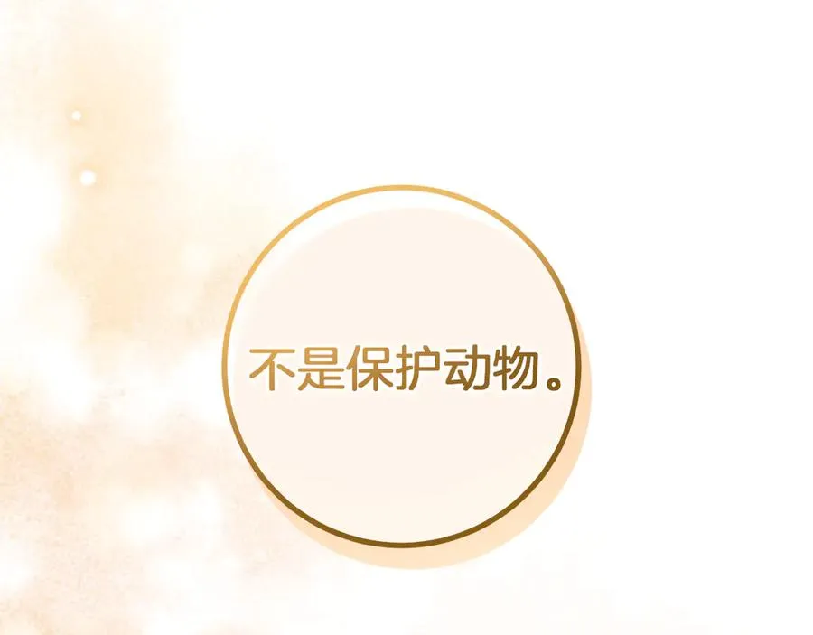 第26话 养宠物85