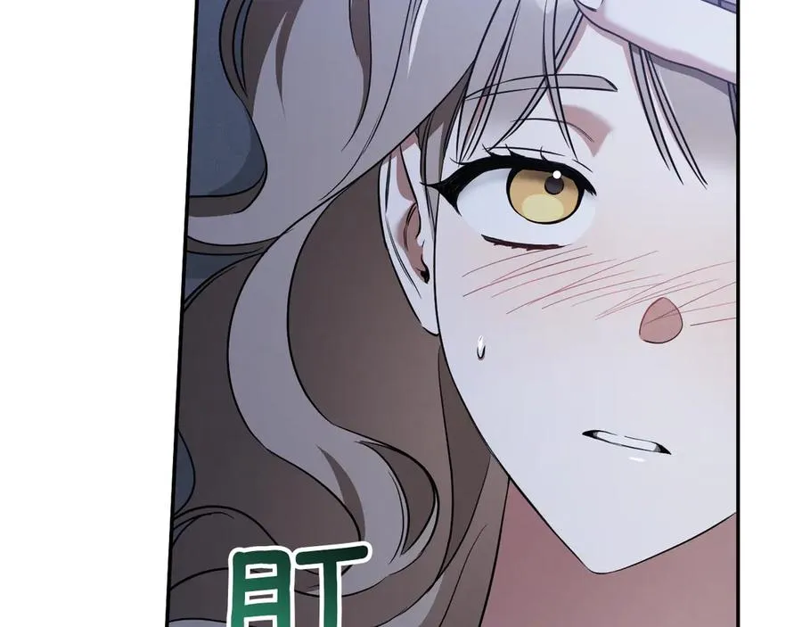 第33话 迷你猫的拜托167