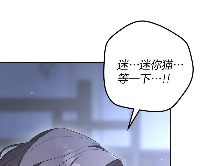 第28话 为什么要杀死自己的宠物18