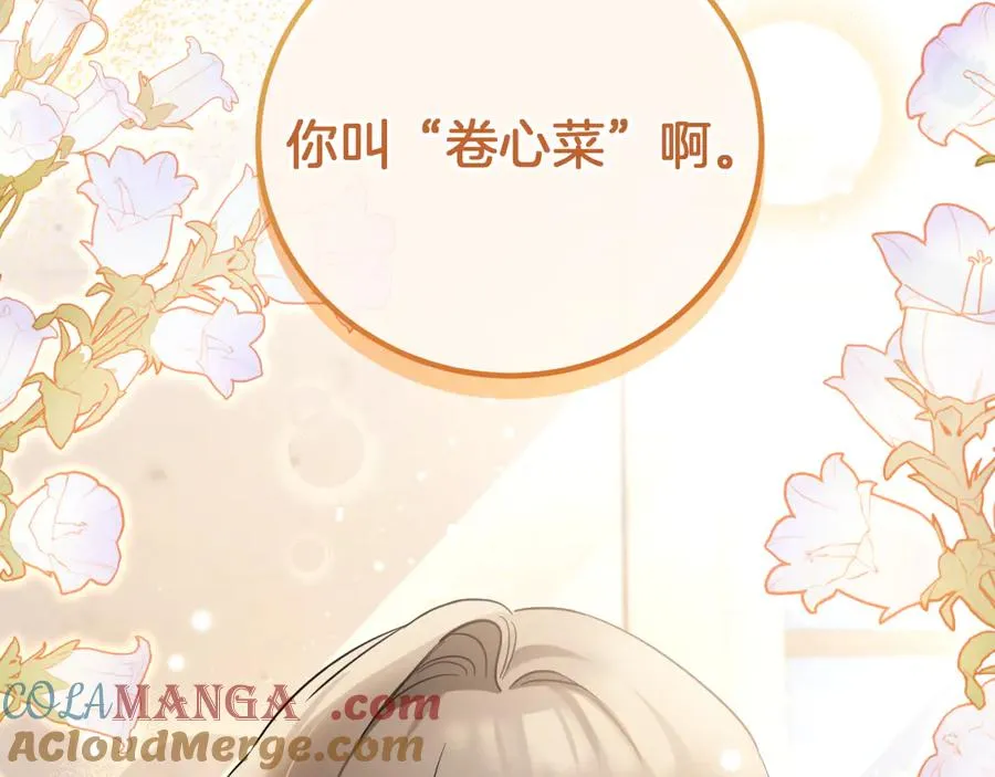 第3话 请多关照，小美女104