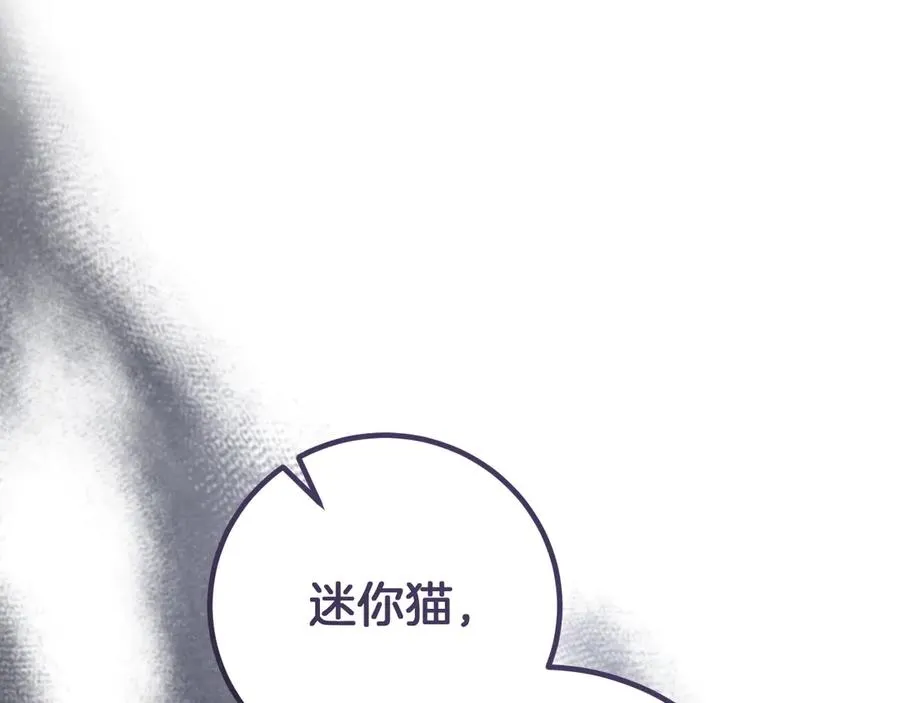 第17话 时间不多了263