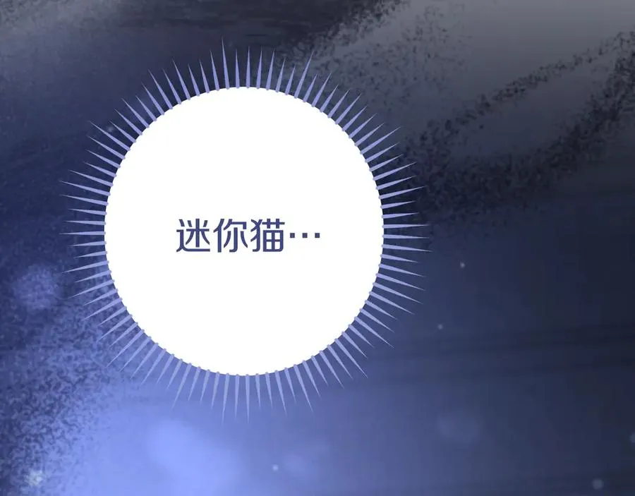 第28话 为什么要杀死自己的宠物5