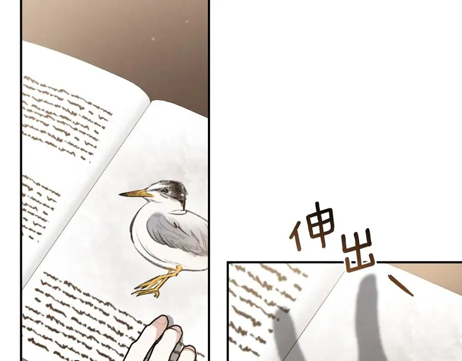 第11话 你喜欢我吗？123