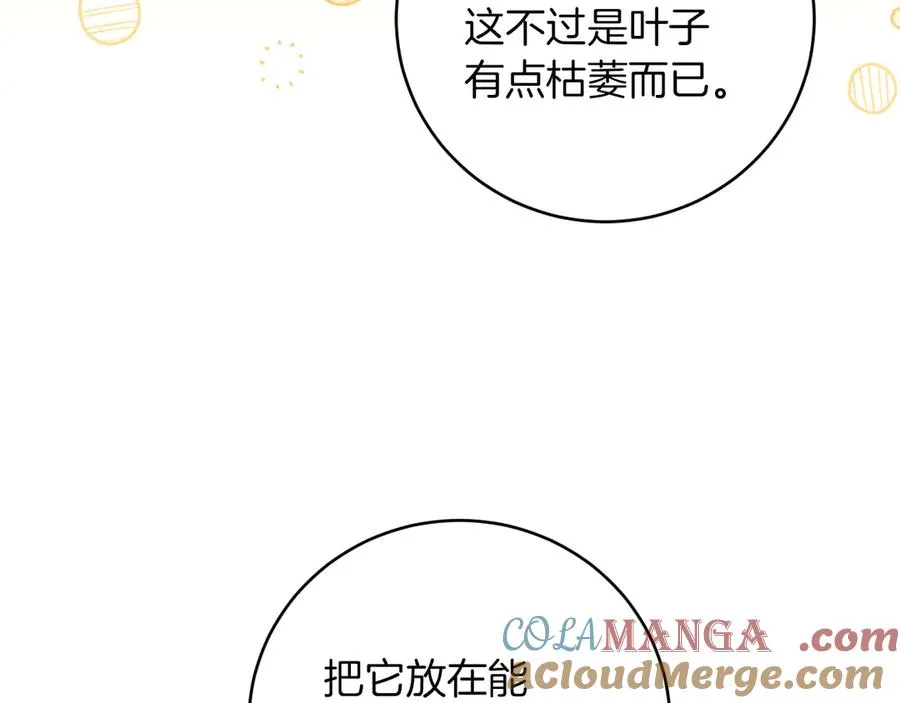 第14话 天才的堕落244