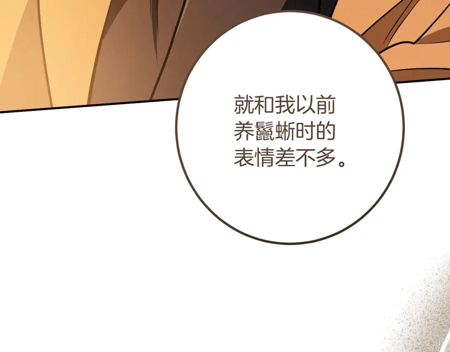 第26话 养宠物57