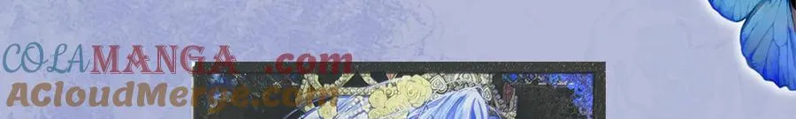 见面礼-蓝蝶信礼20