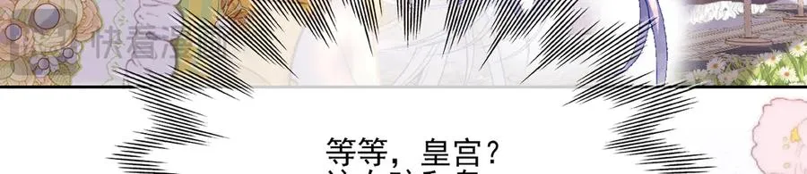 云起-幼崽聚会119