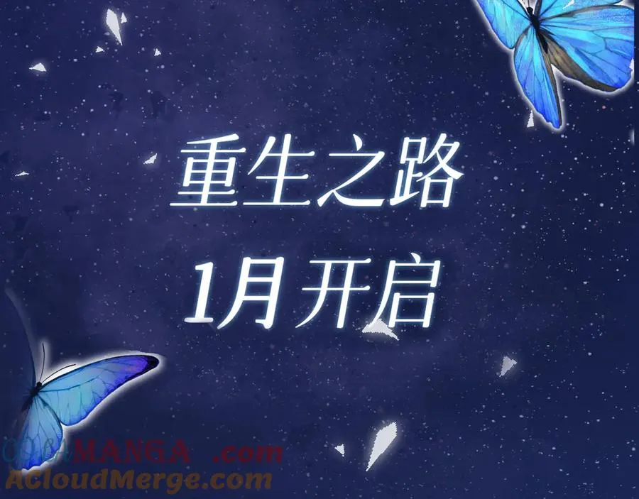 见面礼-蓝蝶信礼4