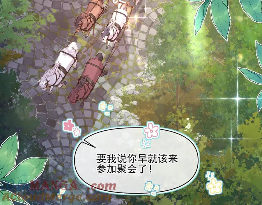 云起-幼崽聚会12
