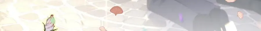 云起-幼崽聚会35