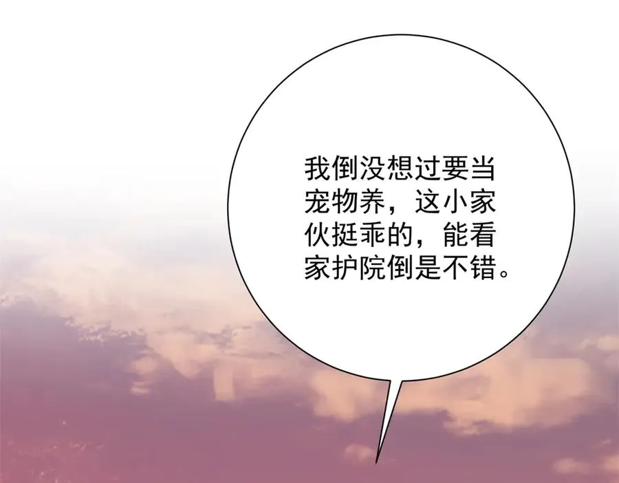 第33话 意外的宠物3