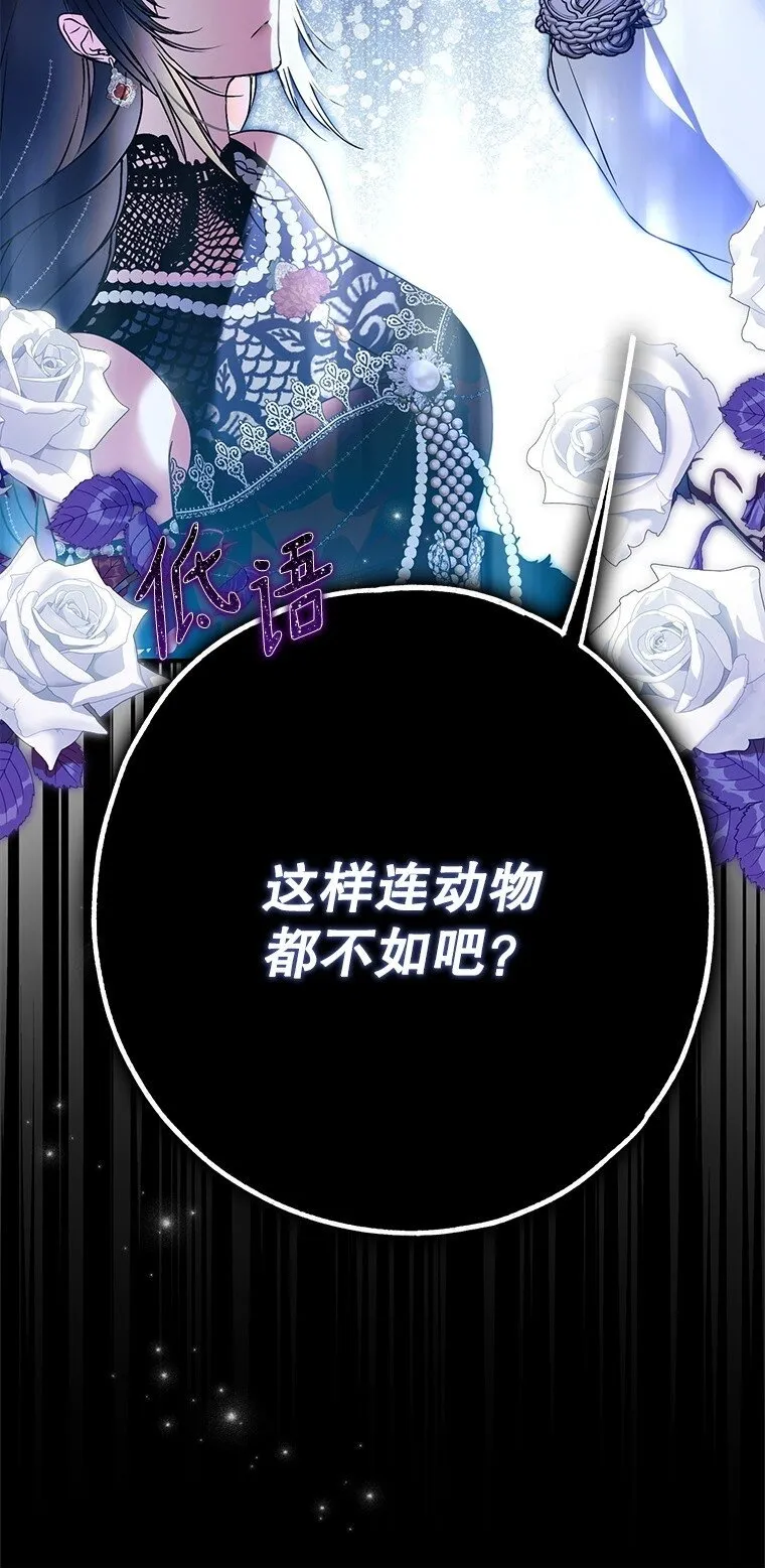 26 欲加之辞99