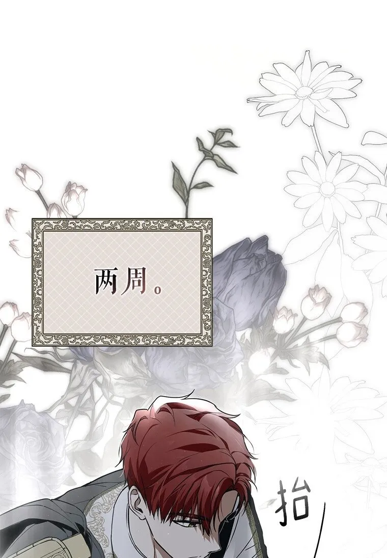 20. 墨若春临49