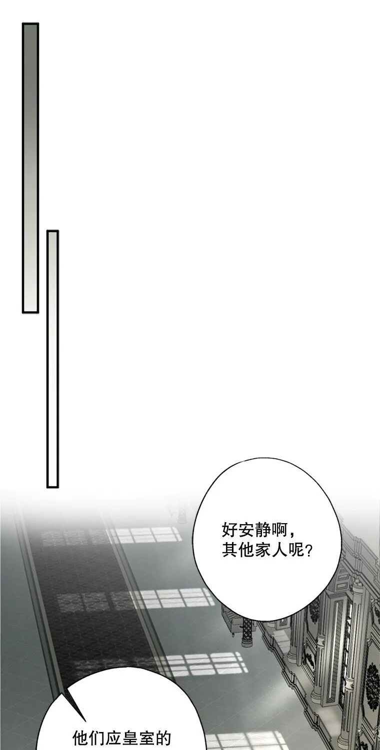 8. 暂住生机42