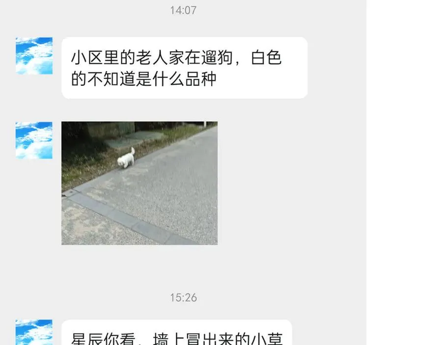 04学长的另一面89