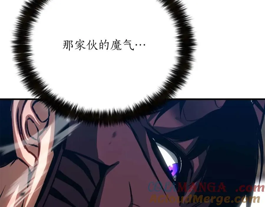 第77话 另一边的战斗168