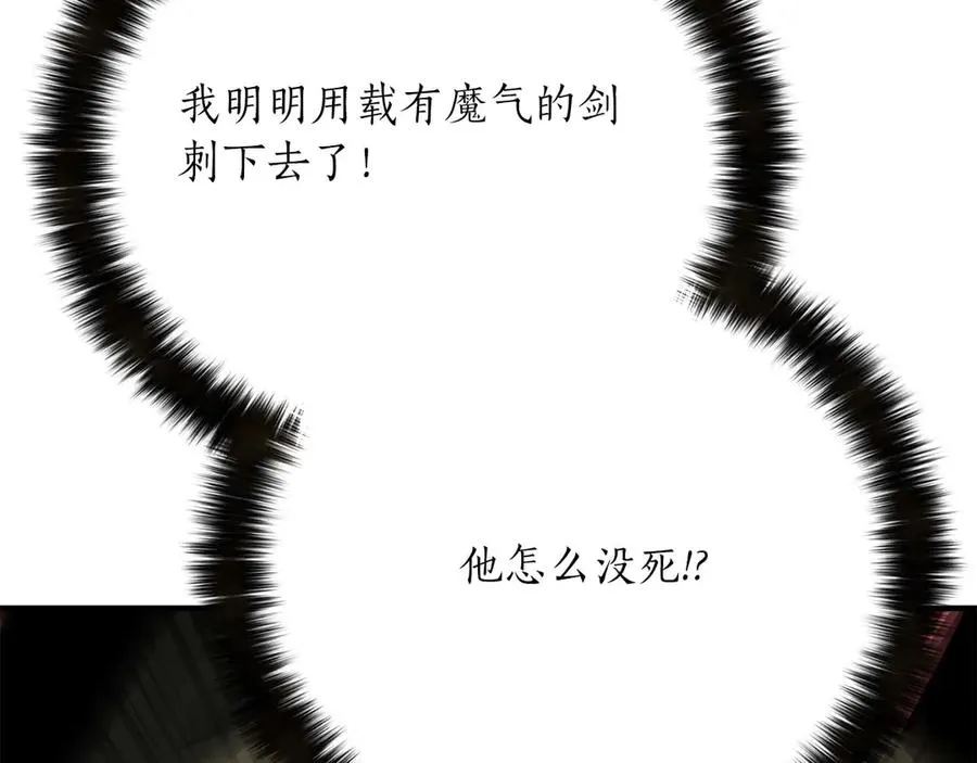 第77话 另一边的战斗262