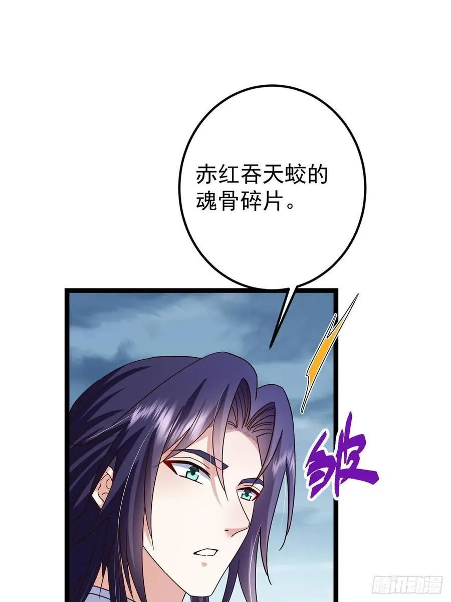 503 紫月会真正的大佬44