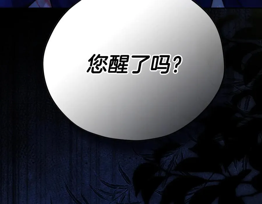 第73话 圈套163