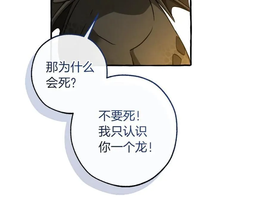 第146话 预料之外的见面15