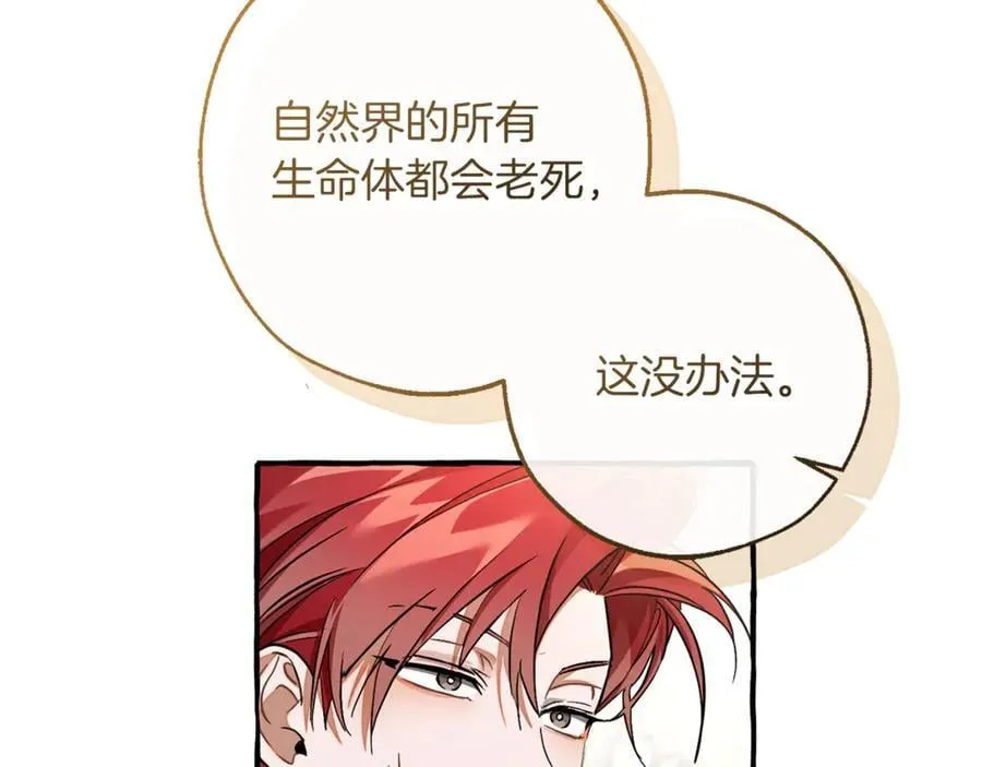 第146话 预料之外的见面19