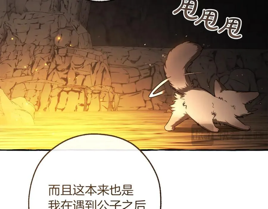 第148话 双胞胎的过去38