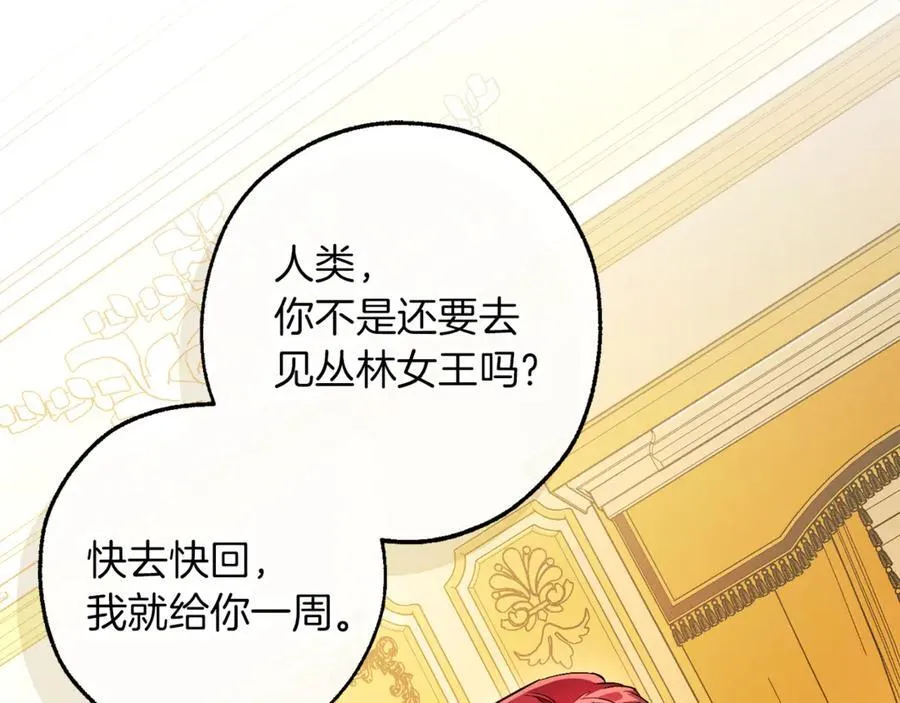 第146话 预料之外的见面53