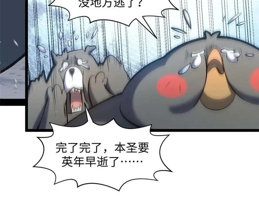 212 立地金丹22