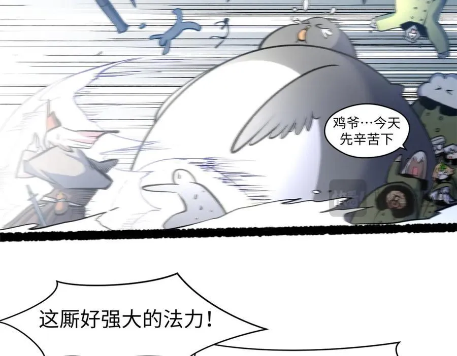216 神仙打架190