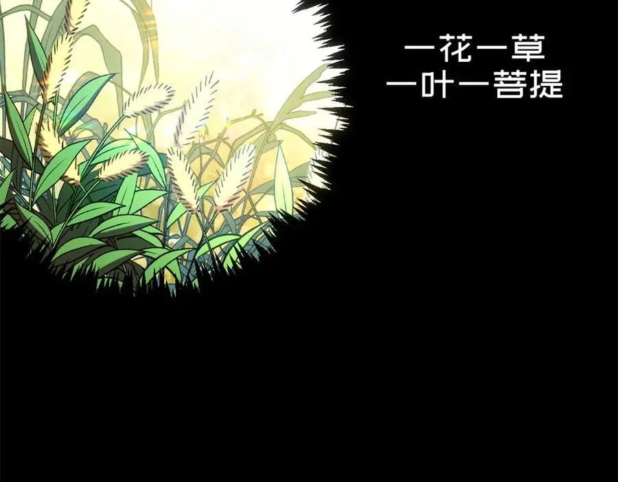 212 立地金丹103
